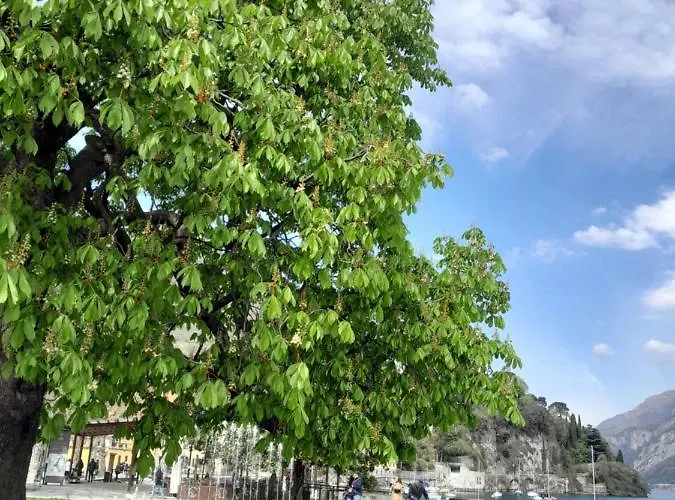 Apartman L'incanto Dell'airone