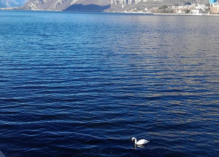 L'incanto Dell'airone Malgrate