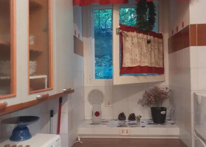 L'incanto Dell'airone *