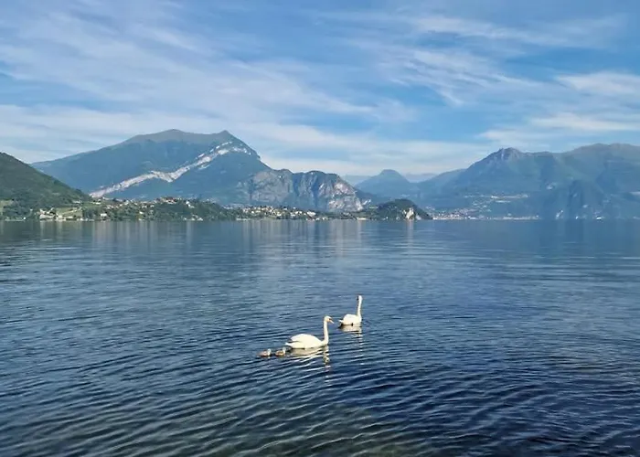 Apartman L'incanto Dell'airone Malgrate