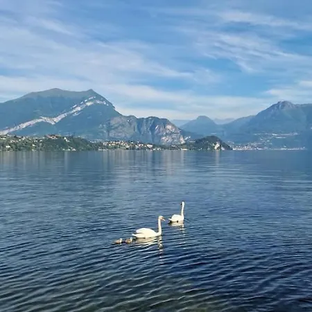 Lägenhet L'incanto Dell'airone Malgrate