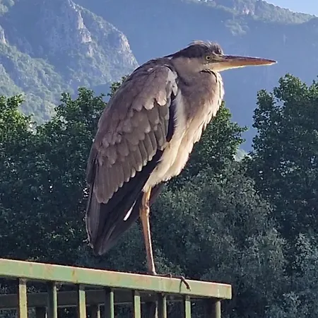 Apartmán L'incanto Dell'airone *